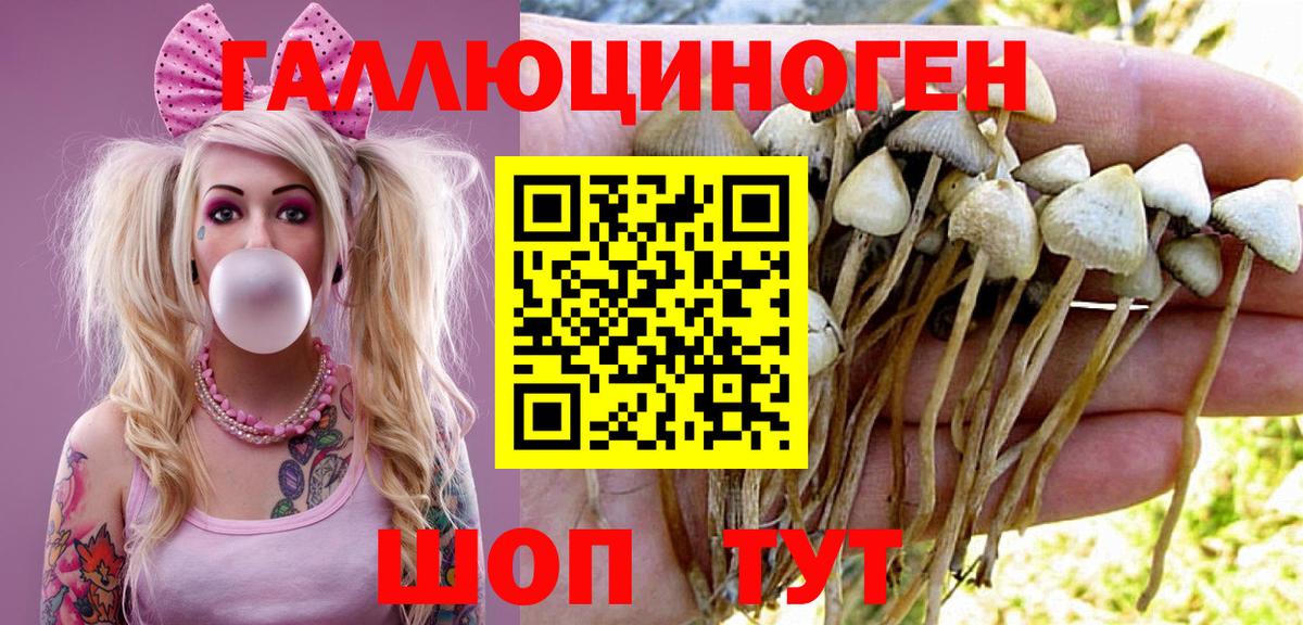 Псилоцибиновые грибы MAGIC MUSHROOMS  Вход с VPN  Губкин  Псилоцибиновые грибы ЛСД 